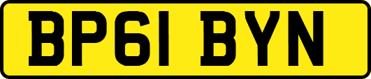 BP61BYN