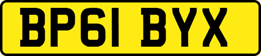 BP61BYX