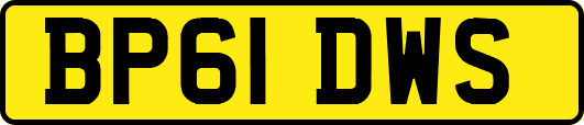 BP61DWS
