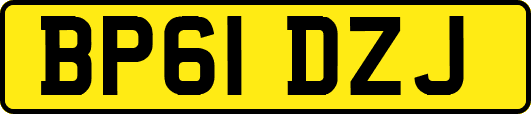 BP61DZJ