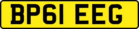 BP61EEG