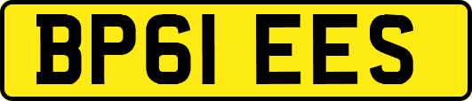 BP61EES