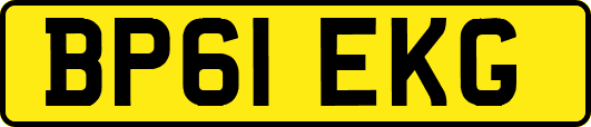 BP61EKG