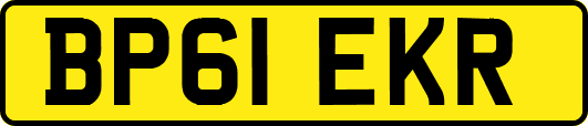 BP61EKR