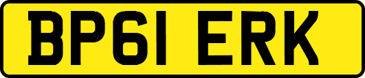 BP61ERK