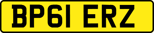 BP61ERZ