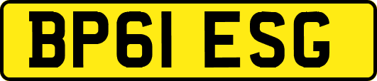 BP61ESG