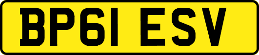 BP61ESV