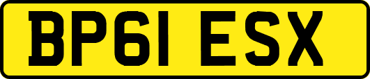 BP61ESX