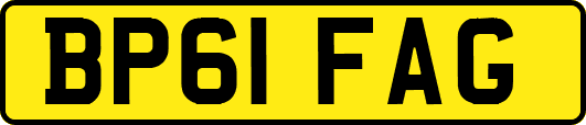 BP61FAG