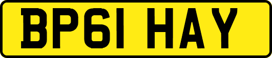 BP61HAY