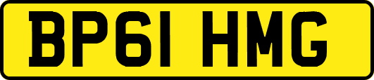 BP61HMG