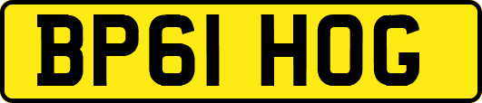 BP61HOG