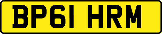 BP61HRM