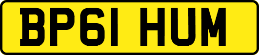BP61HUM