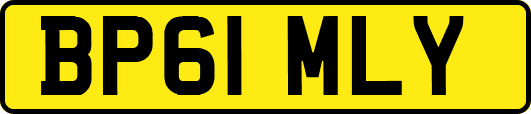 BP61MLY