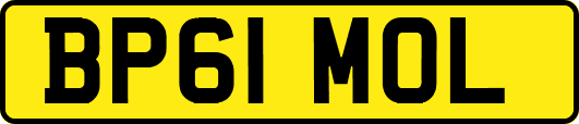 BP61MOL
