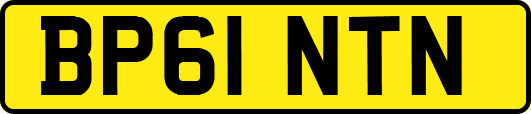 BP61NTN