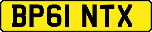 BP61NTX