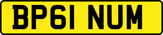 BP61NUM
