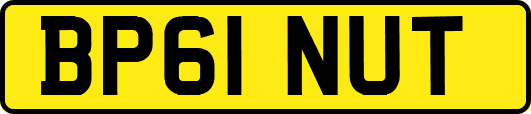 BP61NUT