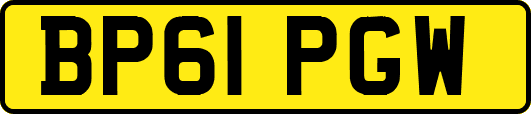 BP61PGW