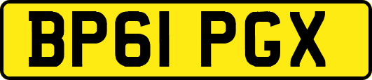 BP61PGX