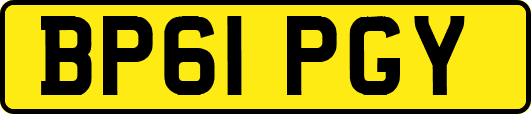 BP61PGY