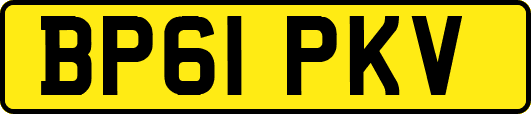 BP61PKV