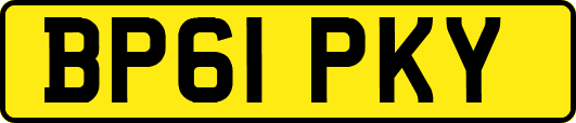 BP61PKY