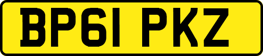 BP61PKZ