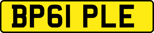 BP61PLE