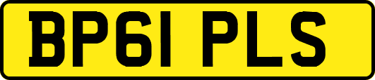 BP61PLS