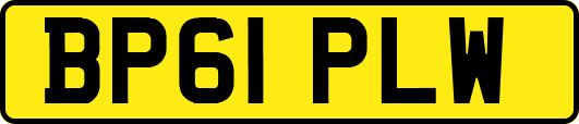 BP61PLW