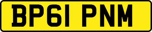 BP61PNM