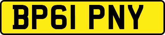 BP61PNY
