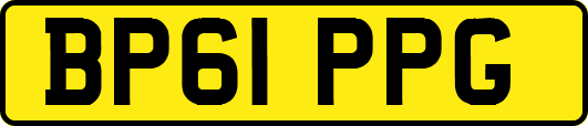 BP61PPG