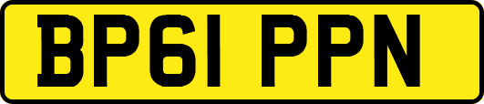 BP61PPN
