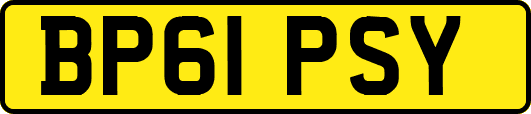 BP61PSY