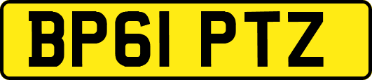 BP61PTZ