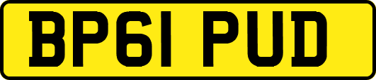 BP61PUD