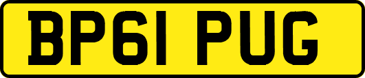 BP61PUG