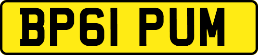 BP61PUM