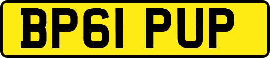 BP61PUP