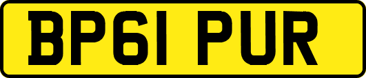 BP61PUR