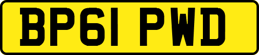 BP61PWD