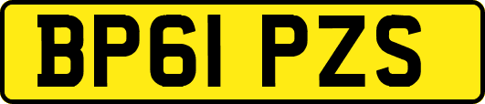 BP61PZS
