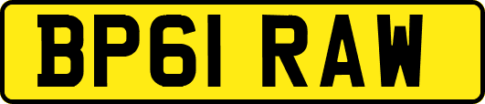 BP61RAW