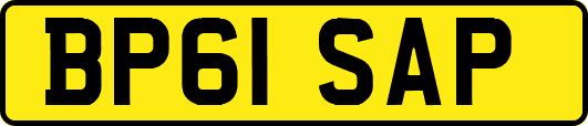 BP61SAP