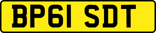 BP61SDT